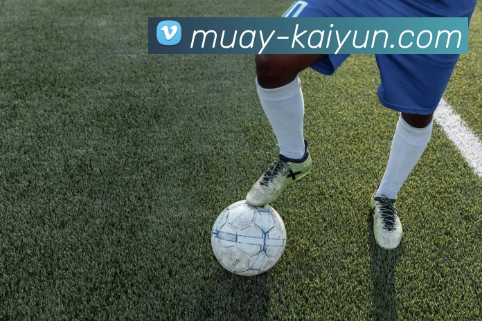 开云官网APP 体育赛事宣传图